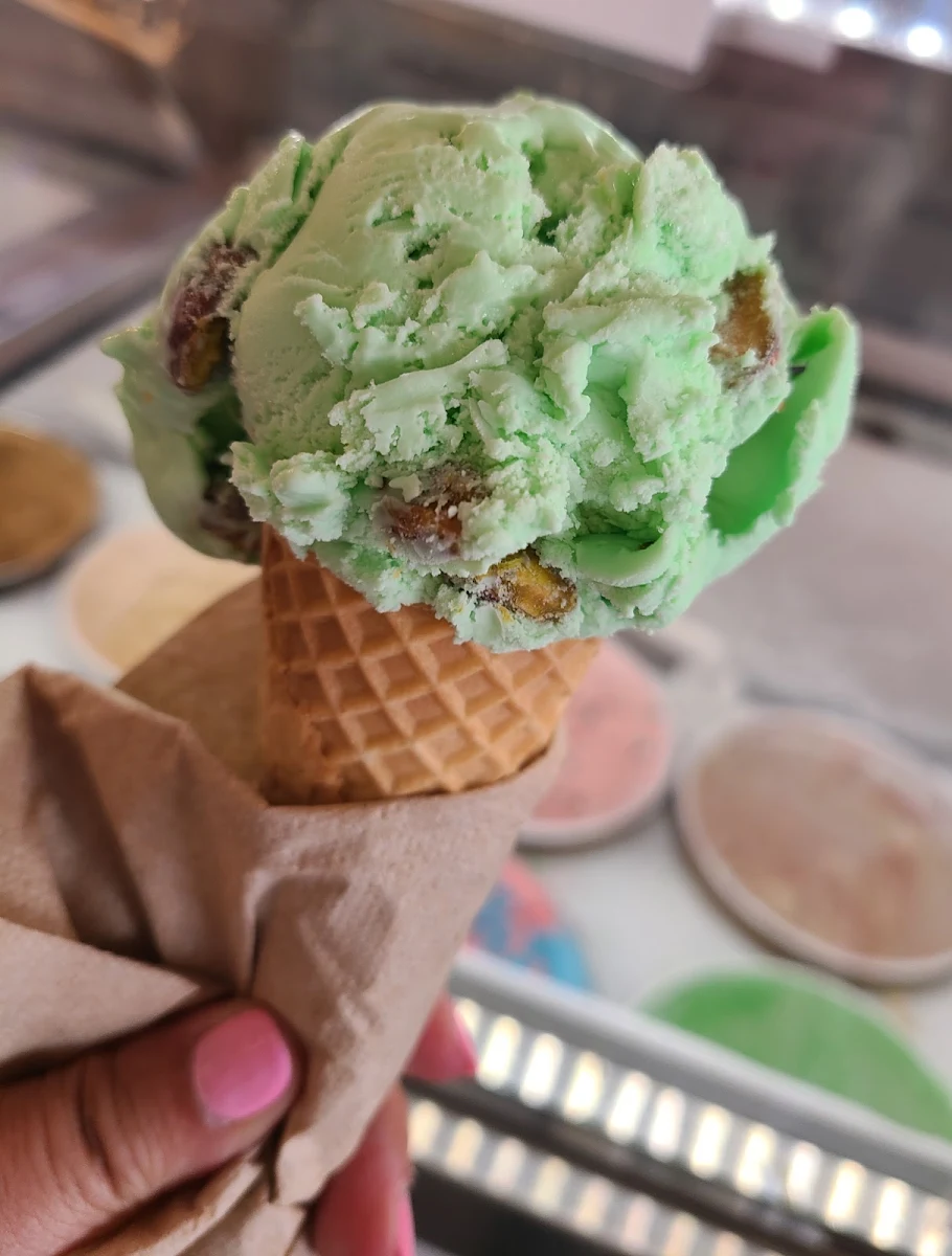 Mint Chocolate Chip