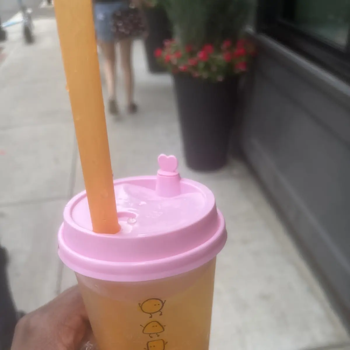 Strawberry Oolong Tea