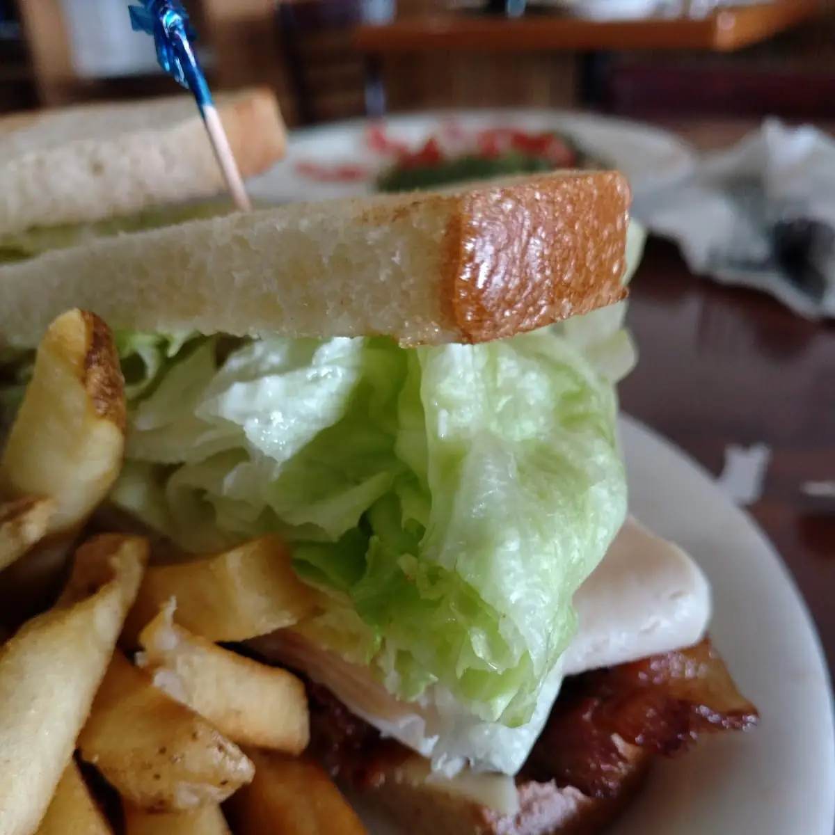 Turkey Breast Sandwich