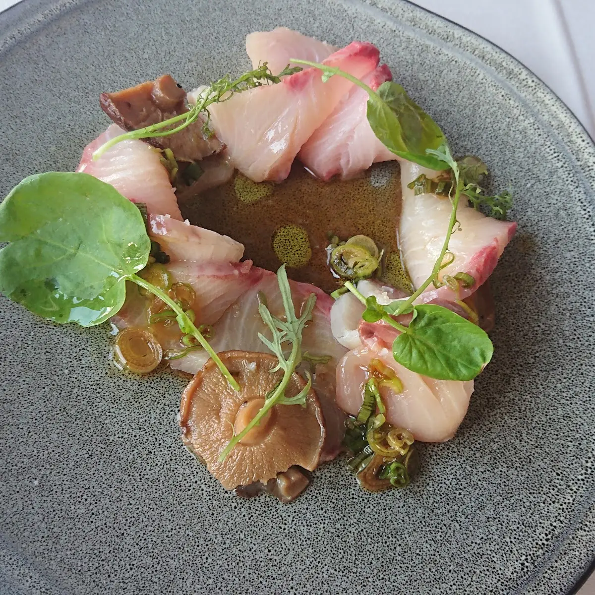 Hamachi Sashimi