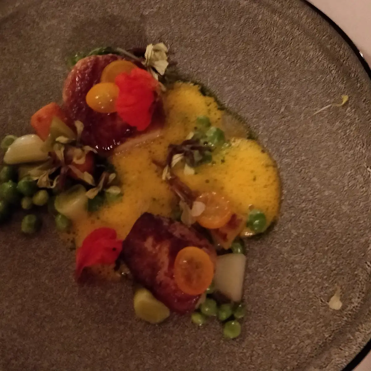 Maine Sea Scallops