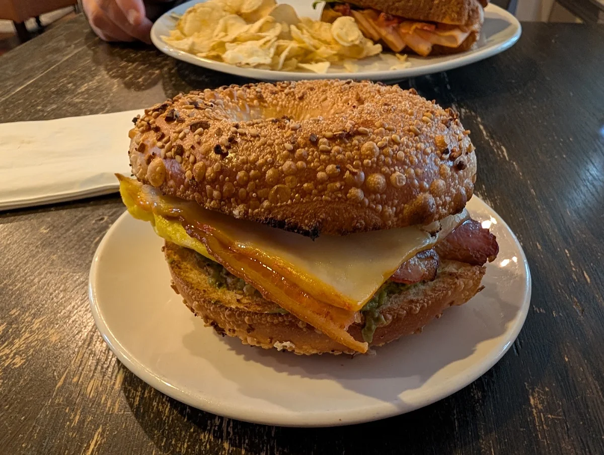 Everything Bagel Sandwich