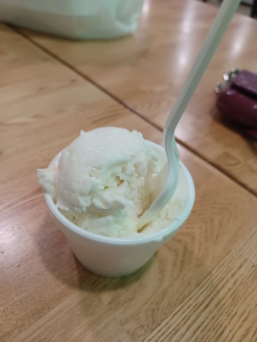 Coconut Ice Cream