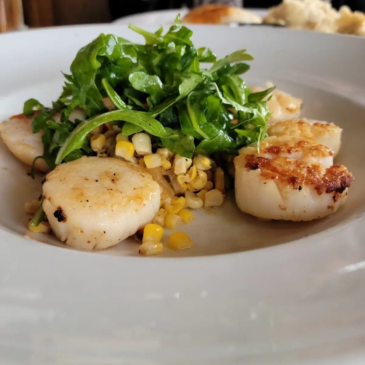 Sea Scallops