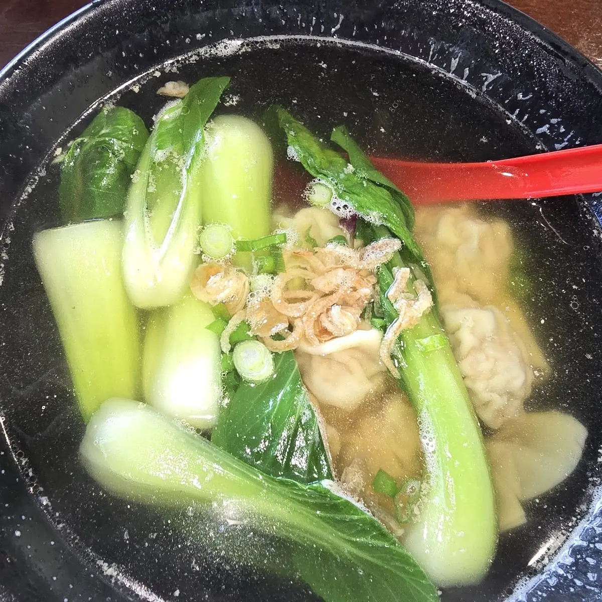 Hong Kong Wonton Soup