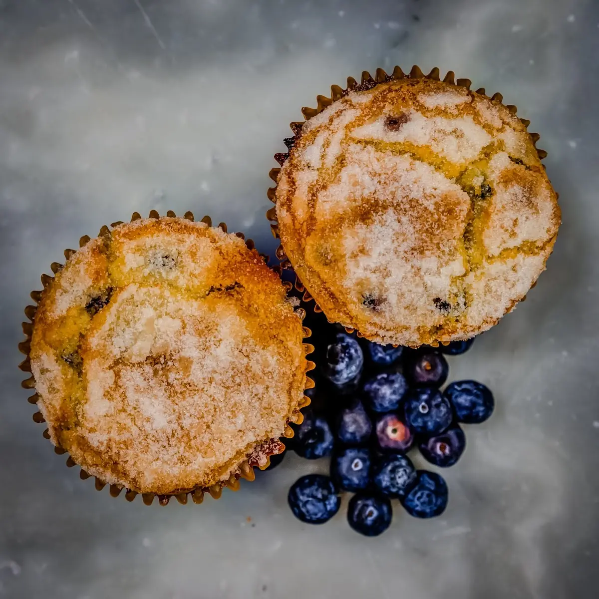 Blueberry Muffin