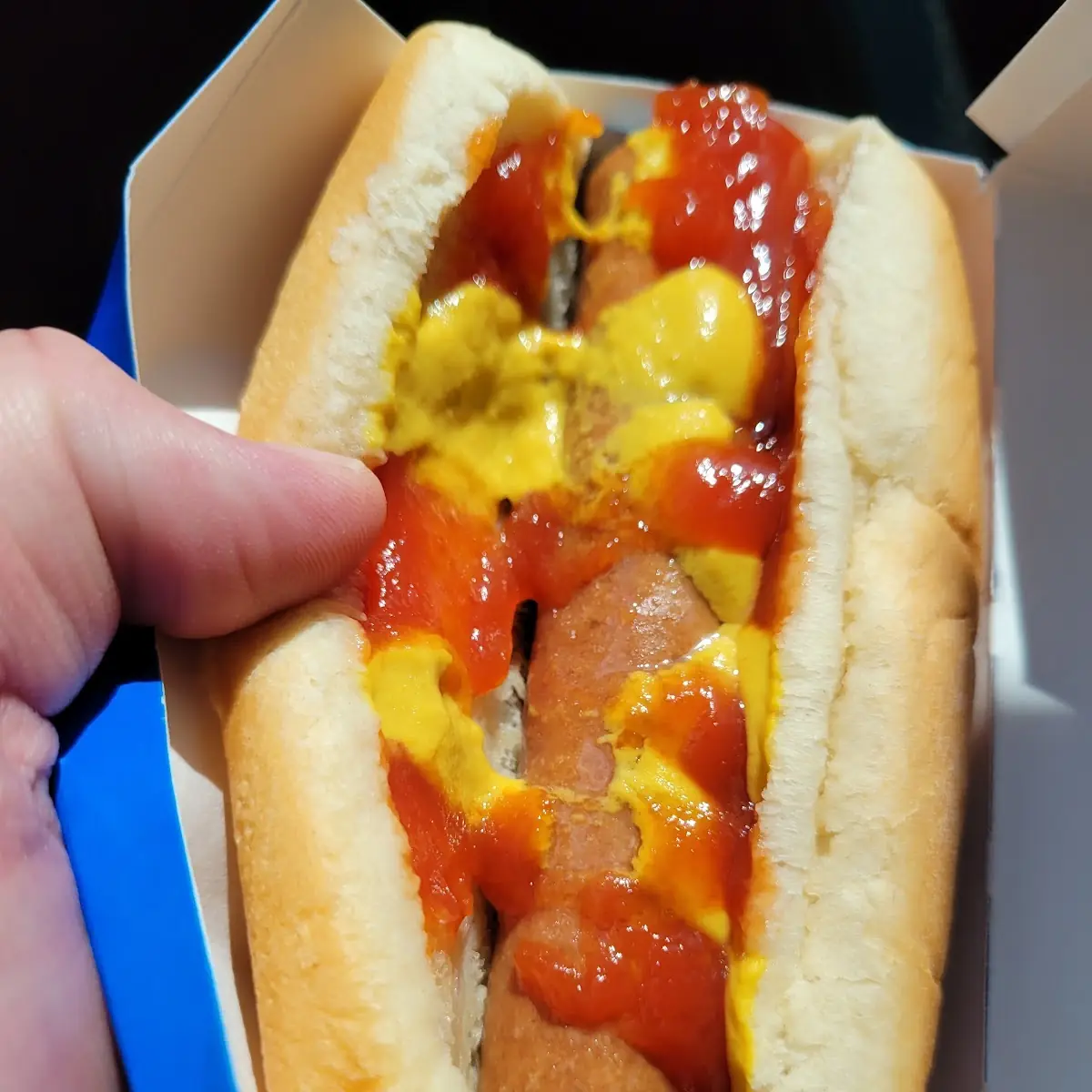 Hot Dog