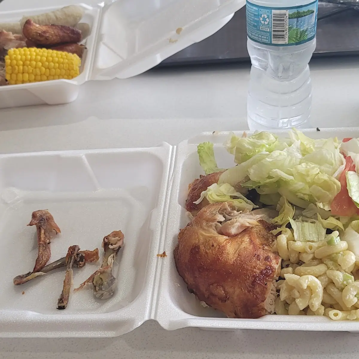 BBQ Chicken with Pasta Salad