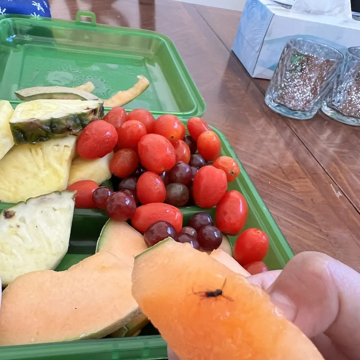 Fresh Fruit