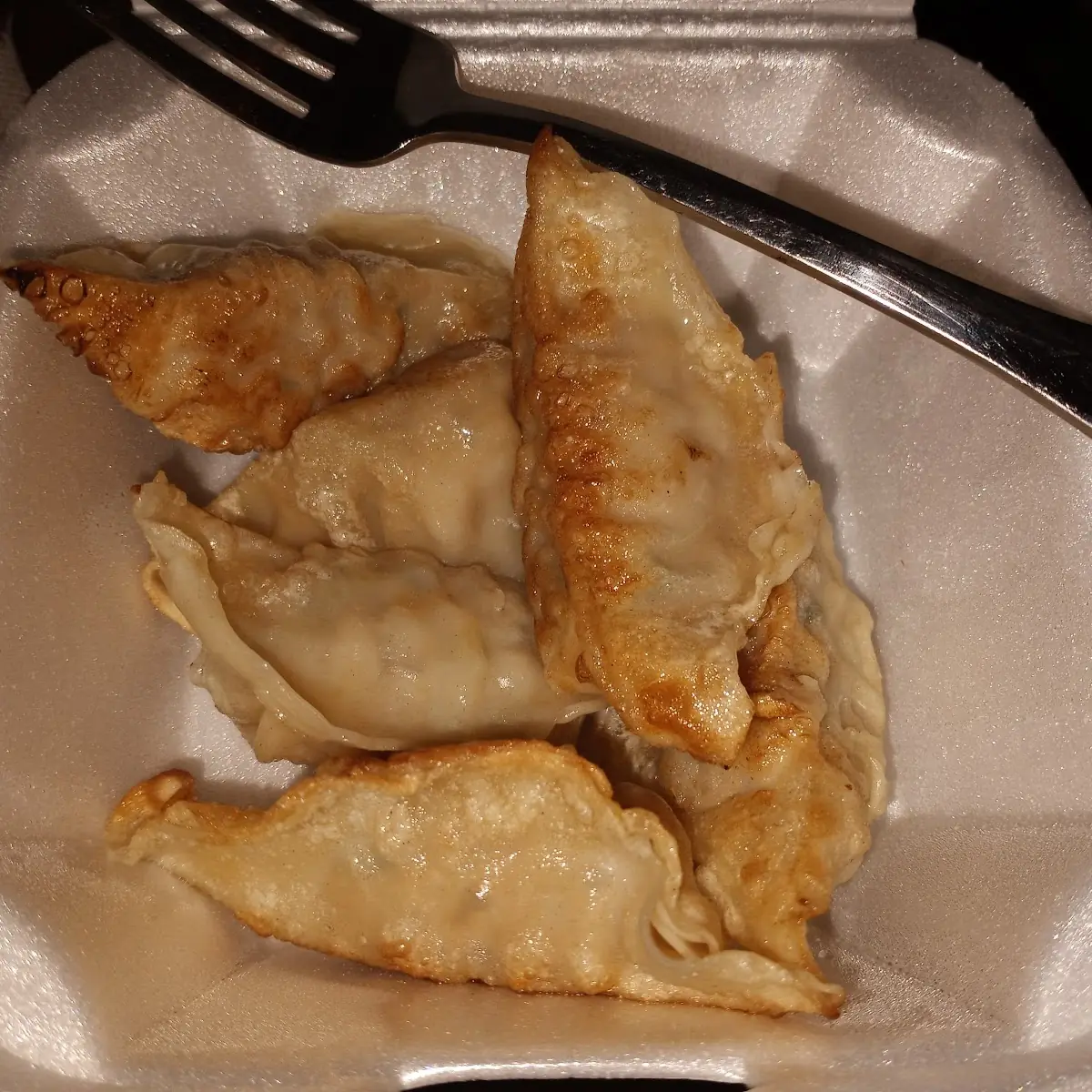 Fried or Steamed Dumplings