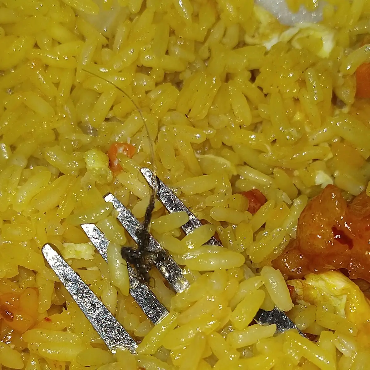 Orange Chicken and Fried Rice