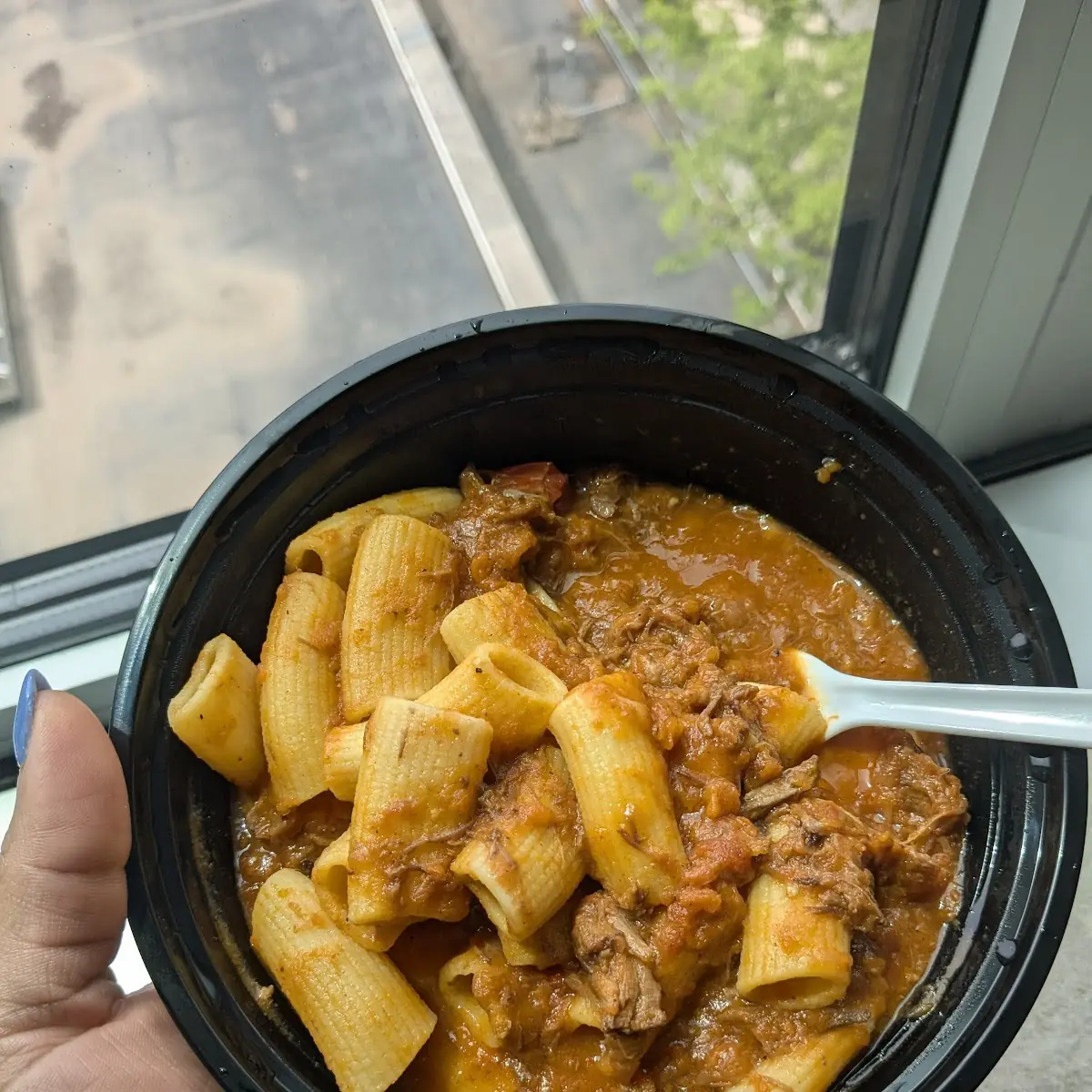More Beef Short Rib Ragu