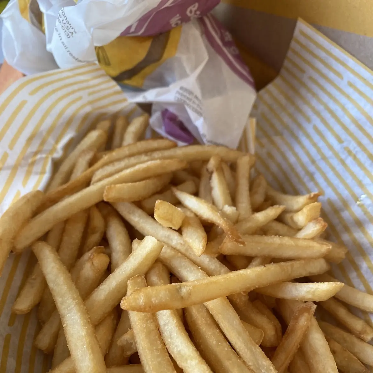 World Famous Fries