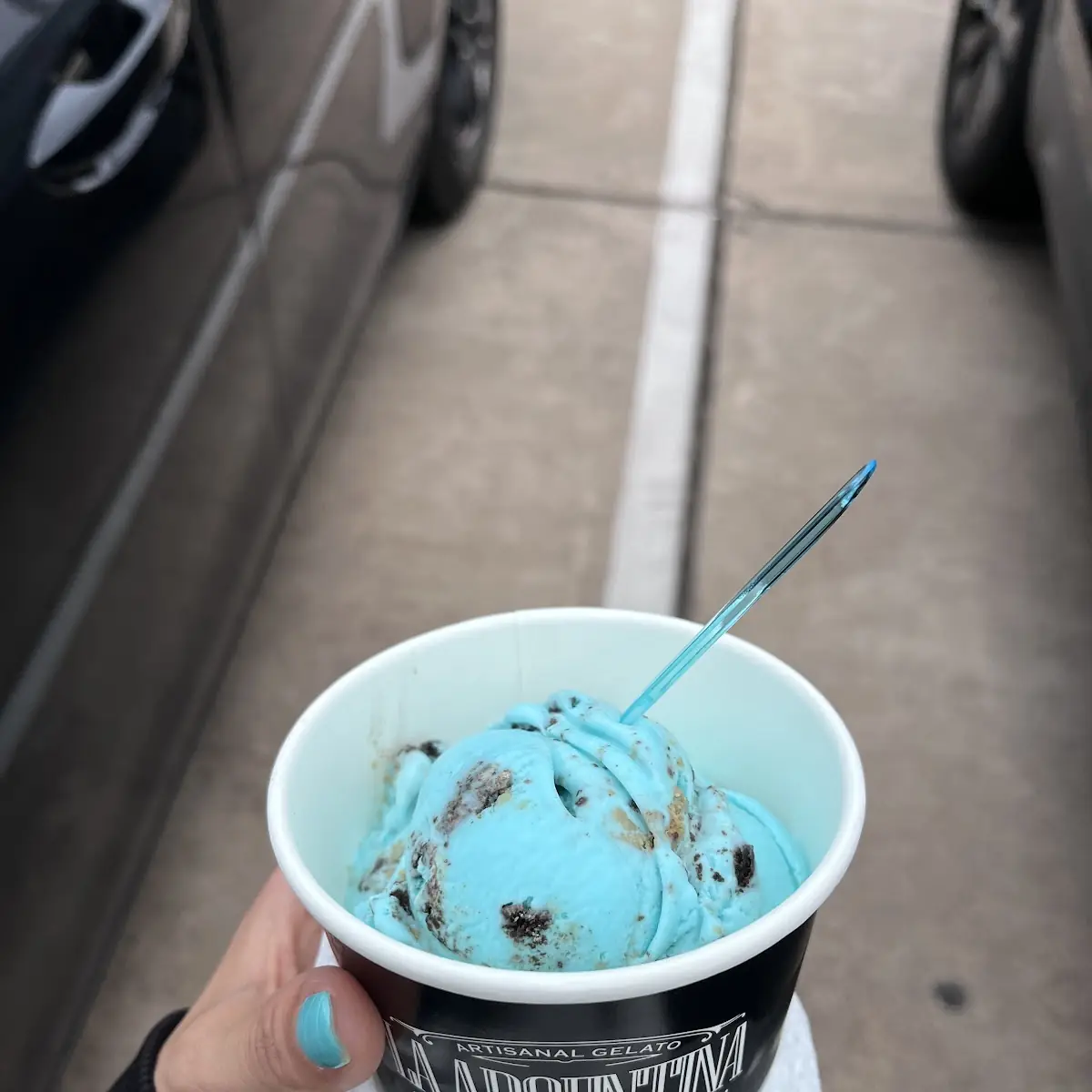 Cotton Candy
