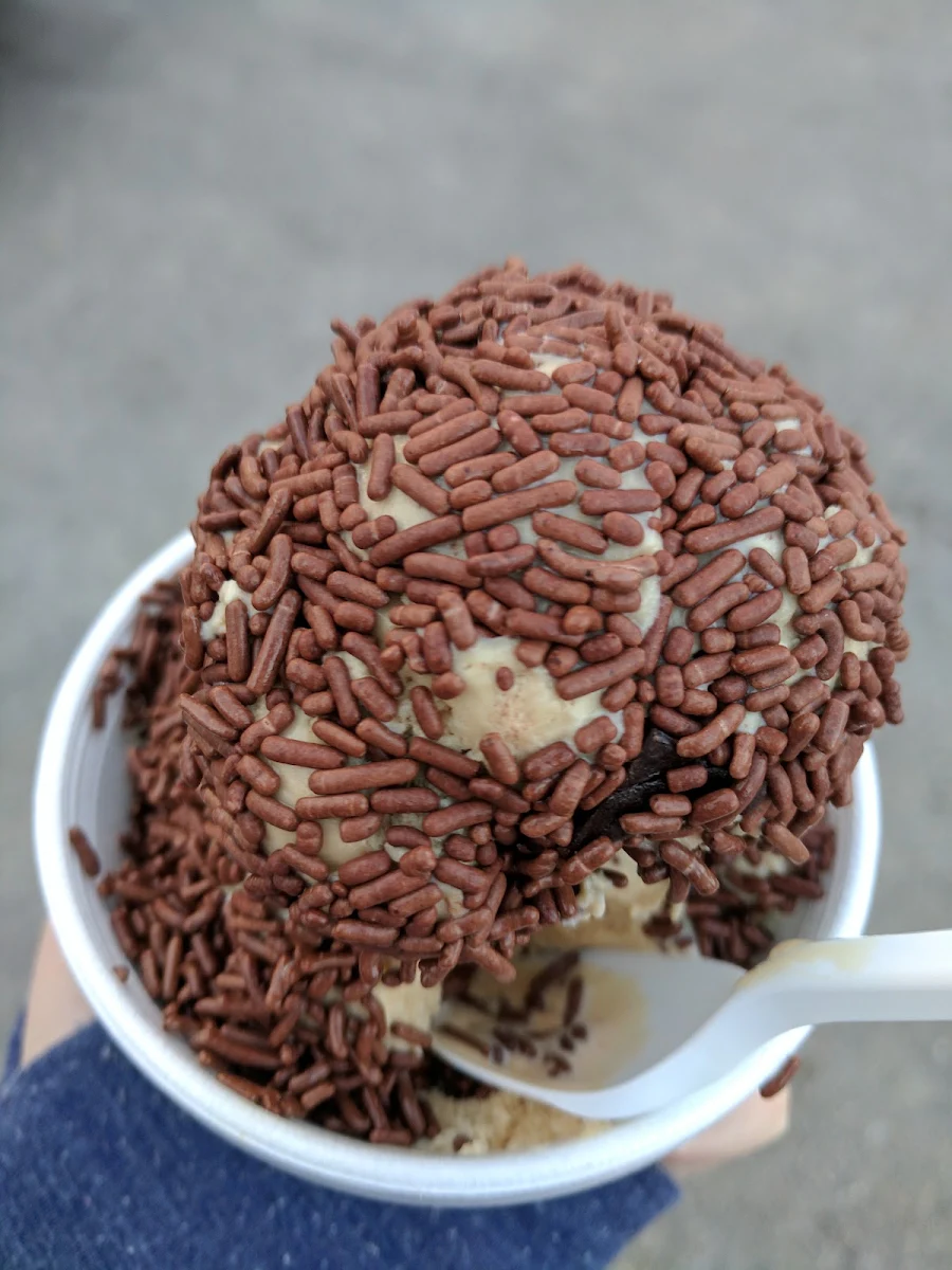 Cappuccino Chip Ice Cream with Jimmies