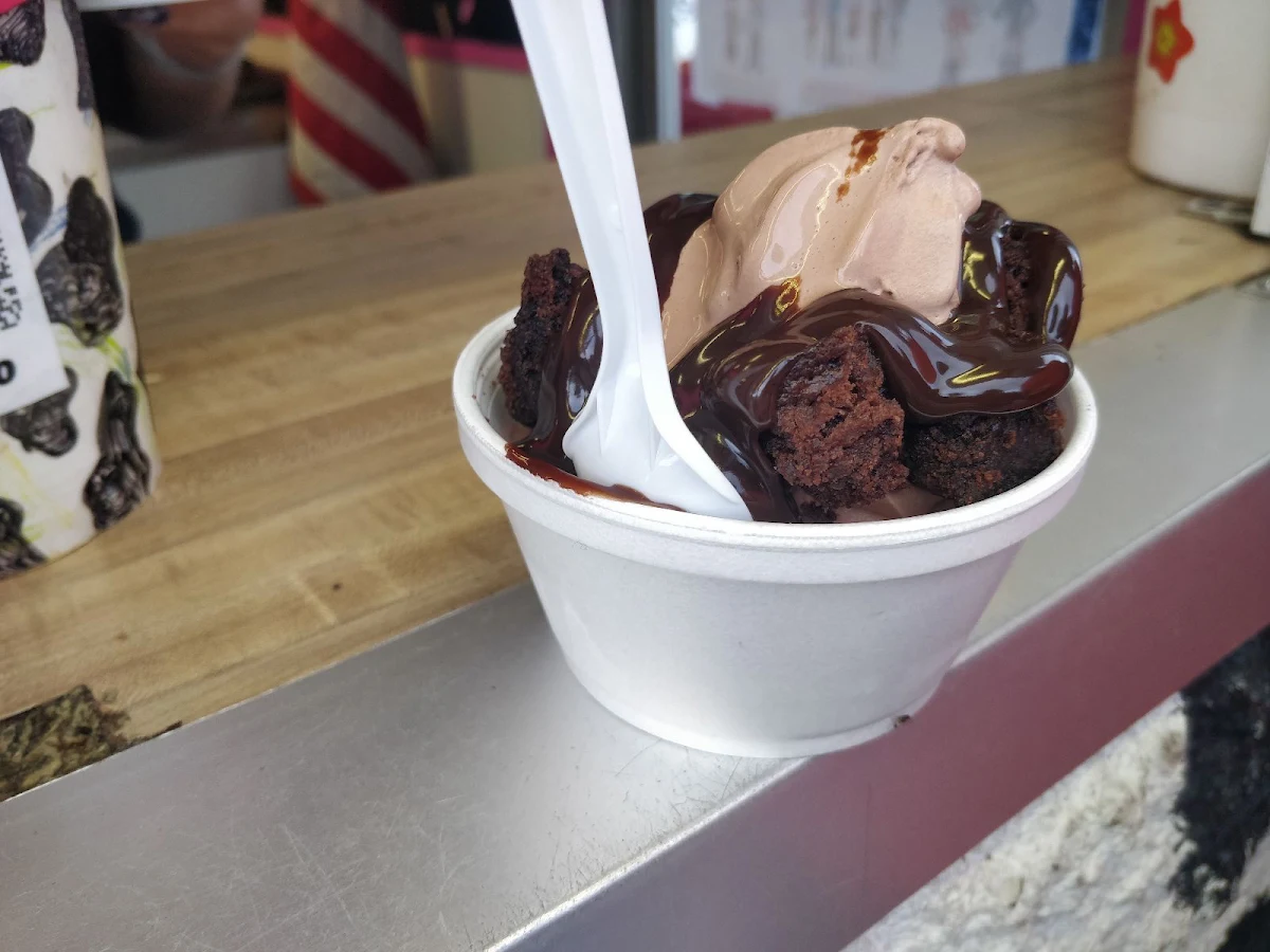 Chocolate Fudge Brownie