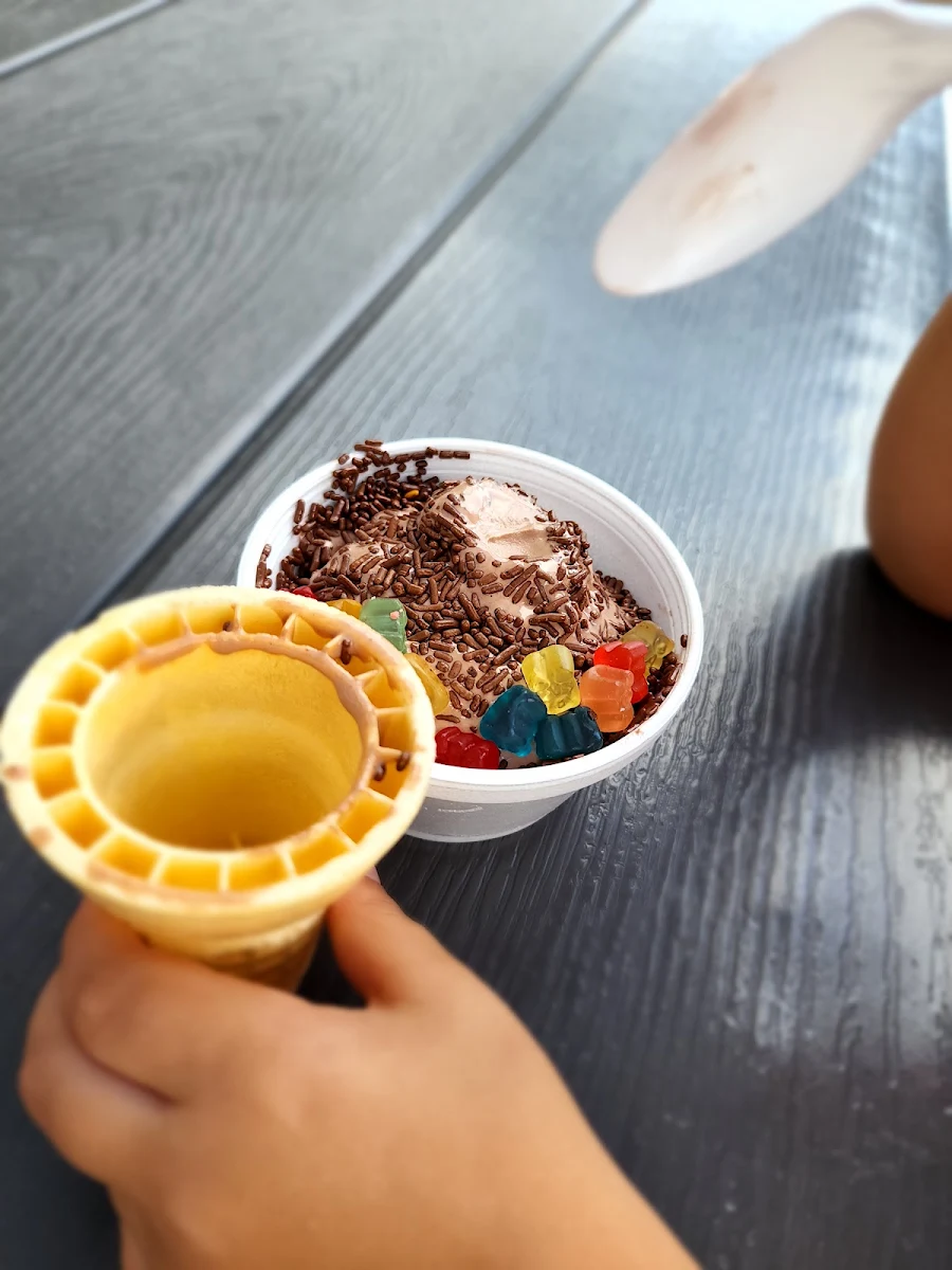 Chocolate Ice Cream with Sprinkles