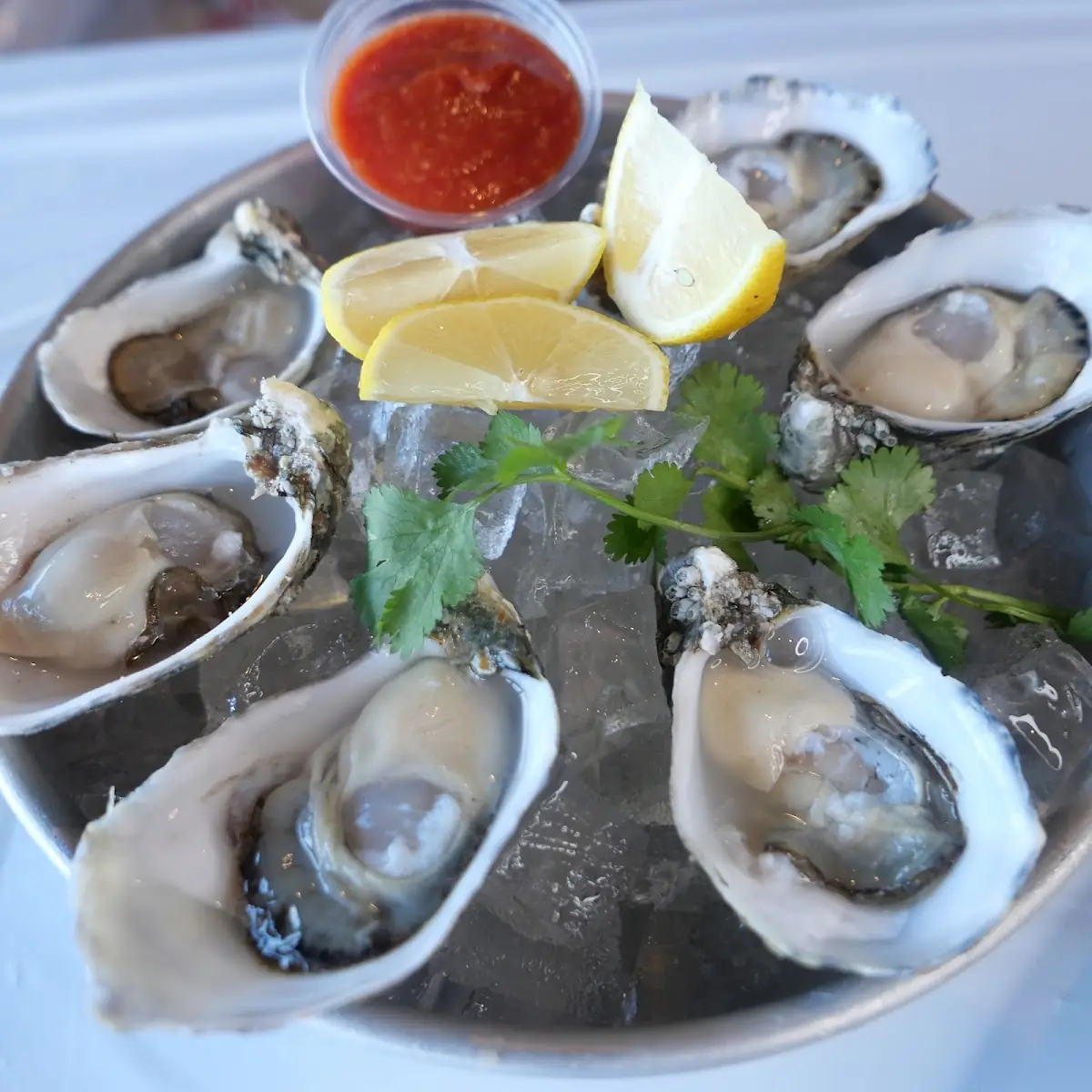 Raw Oysters on Ice with Lemon