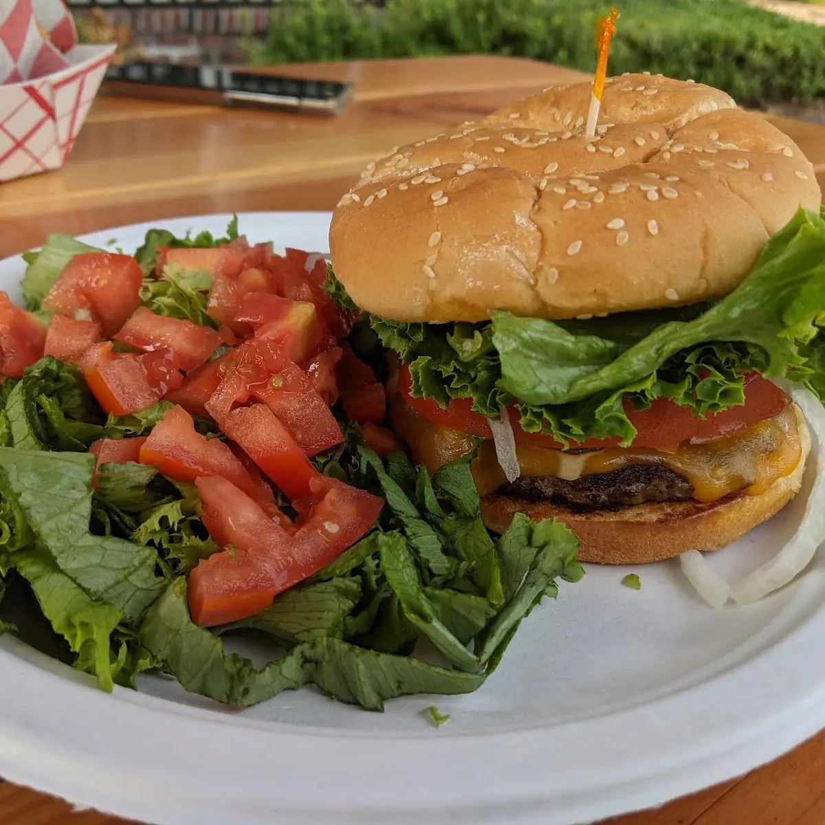 Pub Burger and House Salad