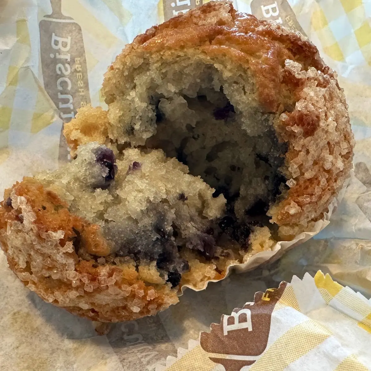 Blueberry Muffin
