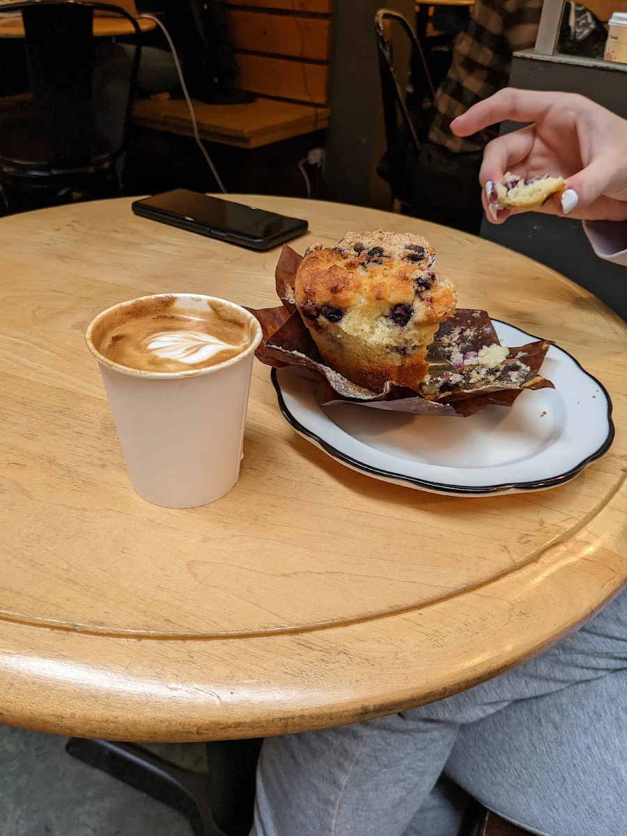 Blueberry Muffin