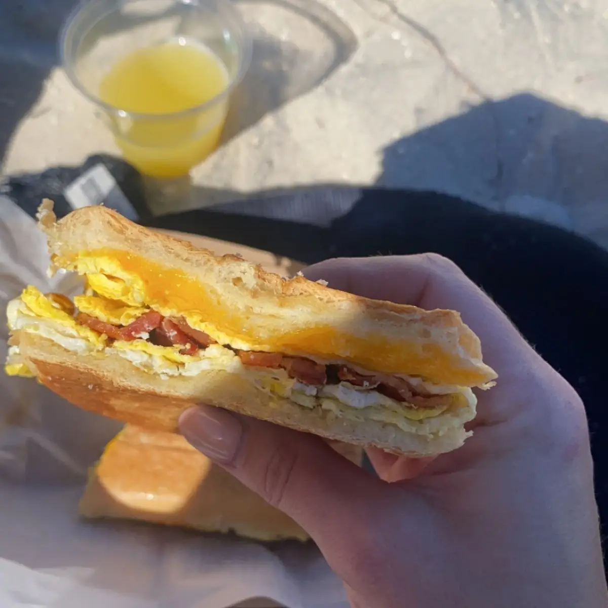 Bacon Egg & Cheese Breakfast Panini