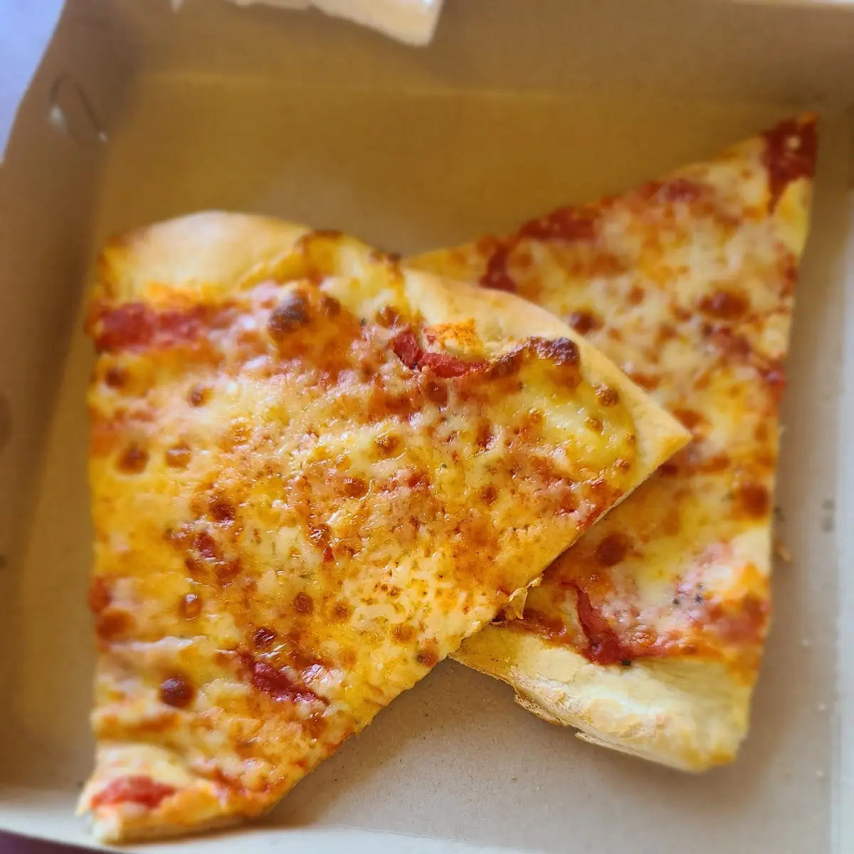 Plain Pizza Slice