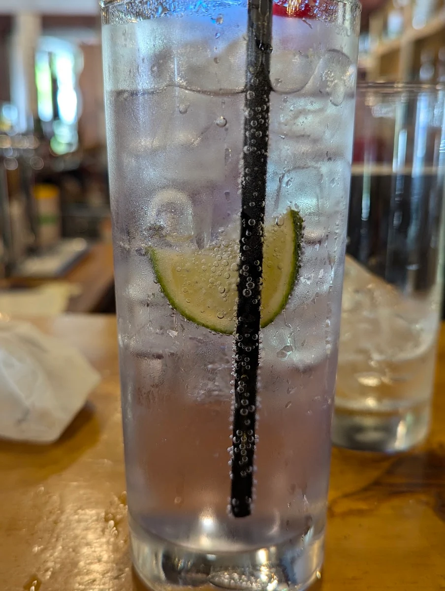 Gin Tonic, The Flealess Hound Pub