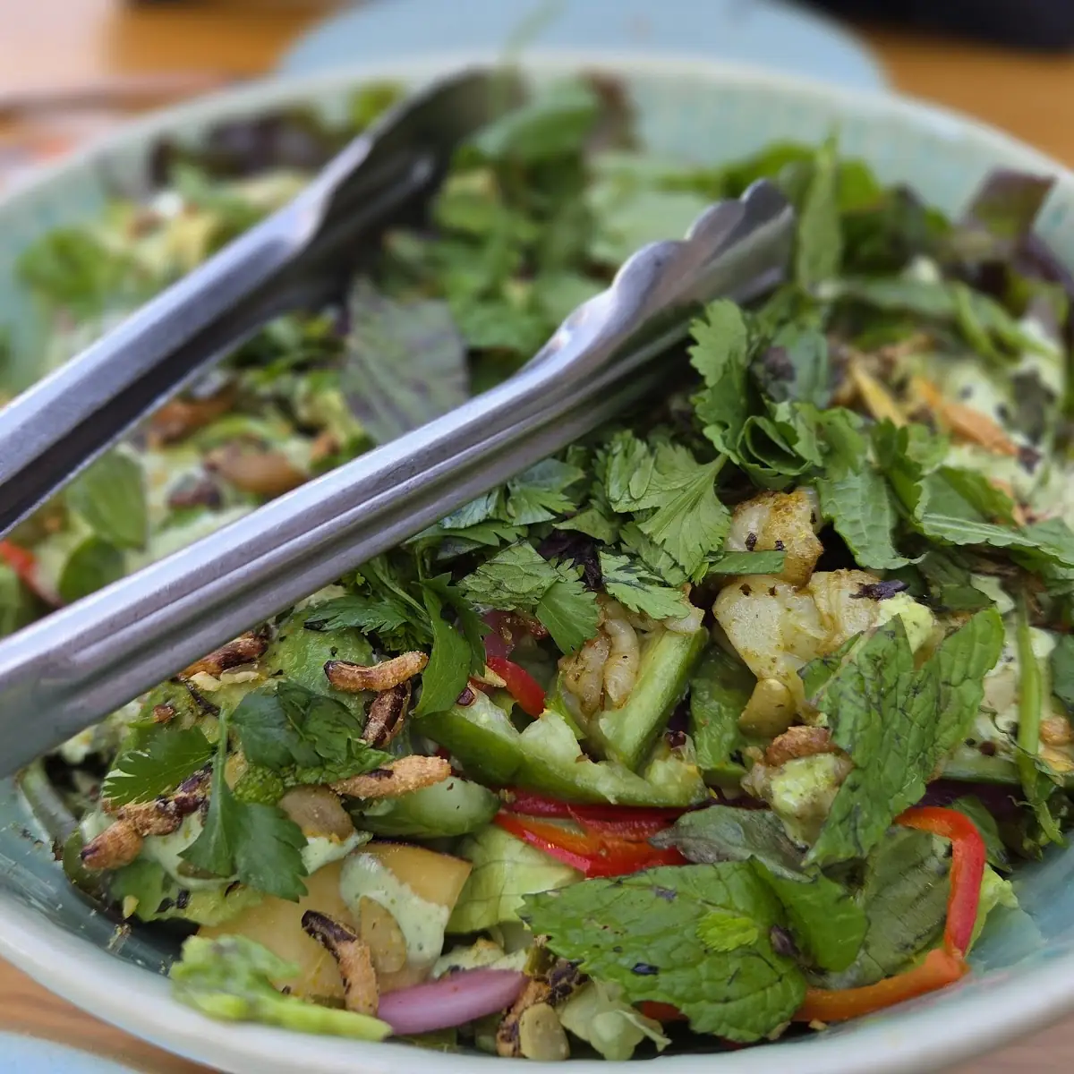 Shrimp Salad