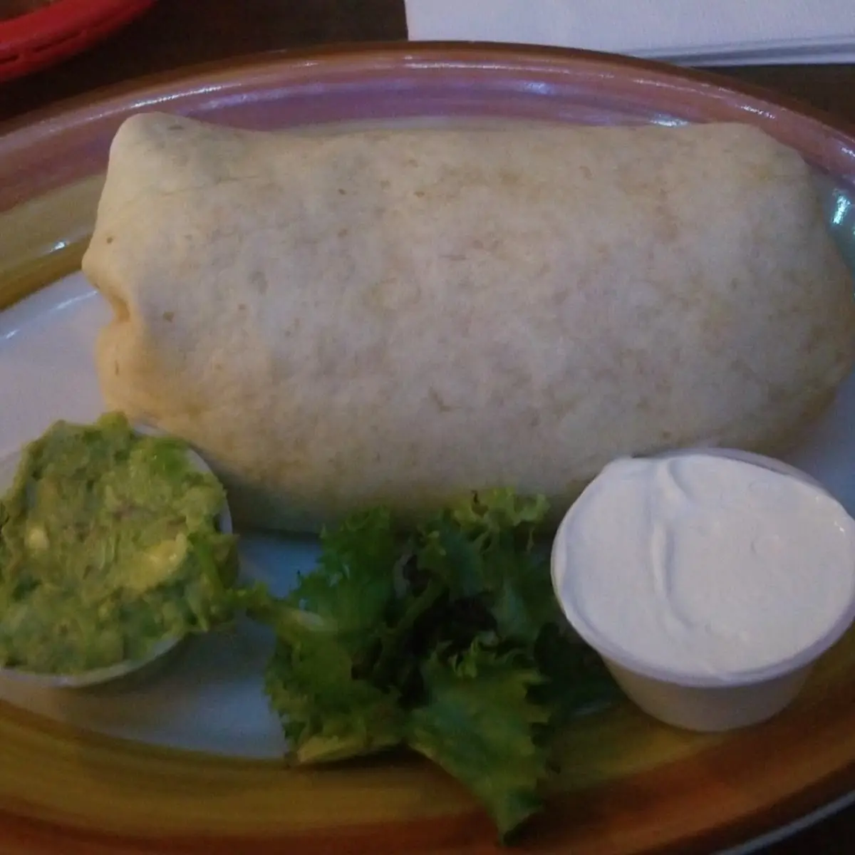 Chicken Burrito for the Birds