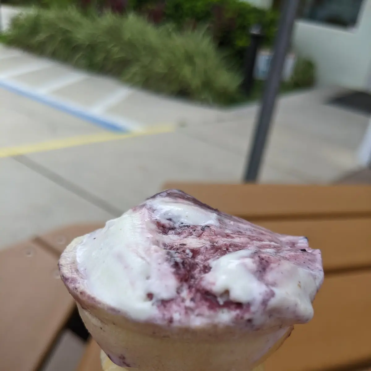 Blueberry Cheesecake