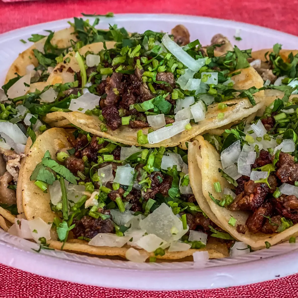 Tripa Taco