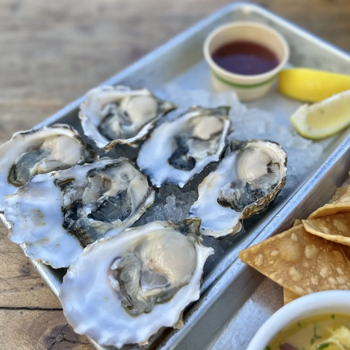 Oysters on the Half Shell