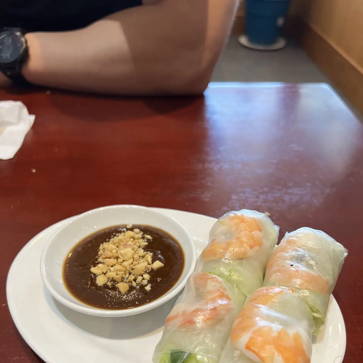 Crispy Spring Rolls