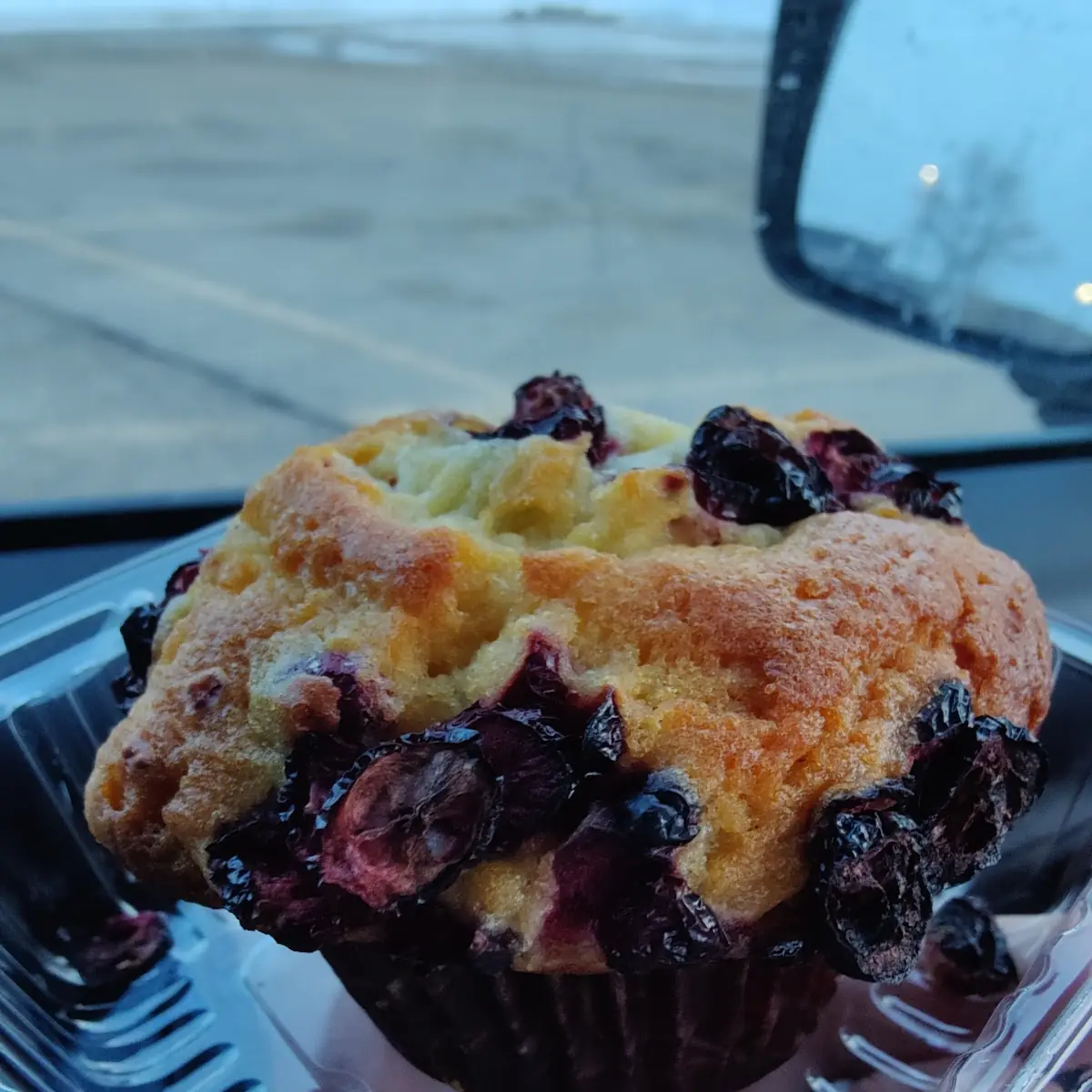 Mountain Berry Muffin
