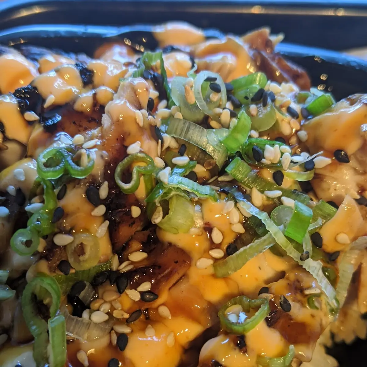Teriyaki Chicken