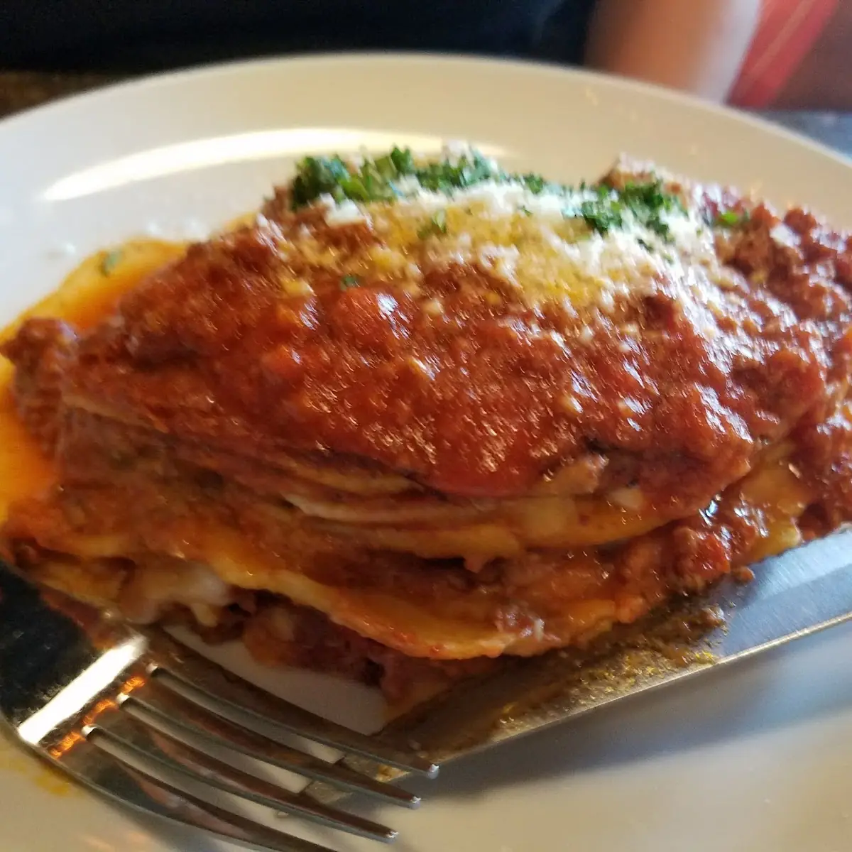 Lasagna with Rich Tomato Sauce