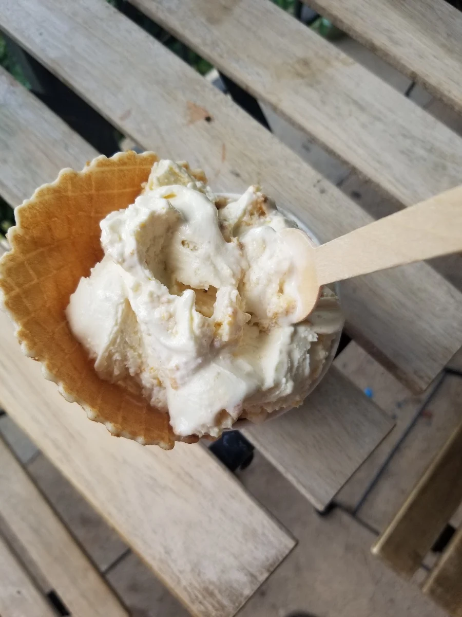 Cheesecake with Cheese Cake Bites