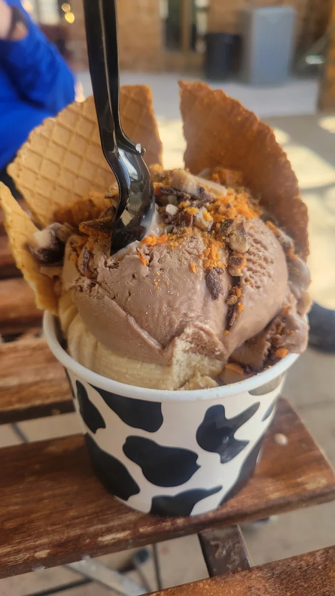 Chocolate Ice Cream