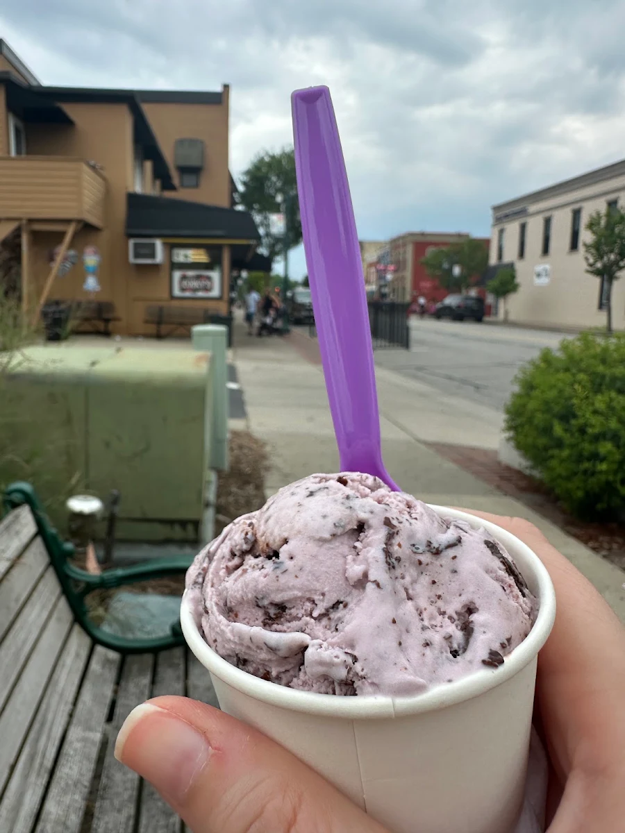 Black Cherry Chip