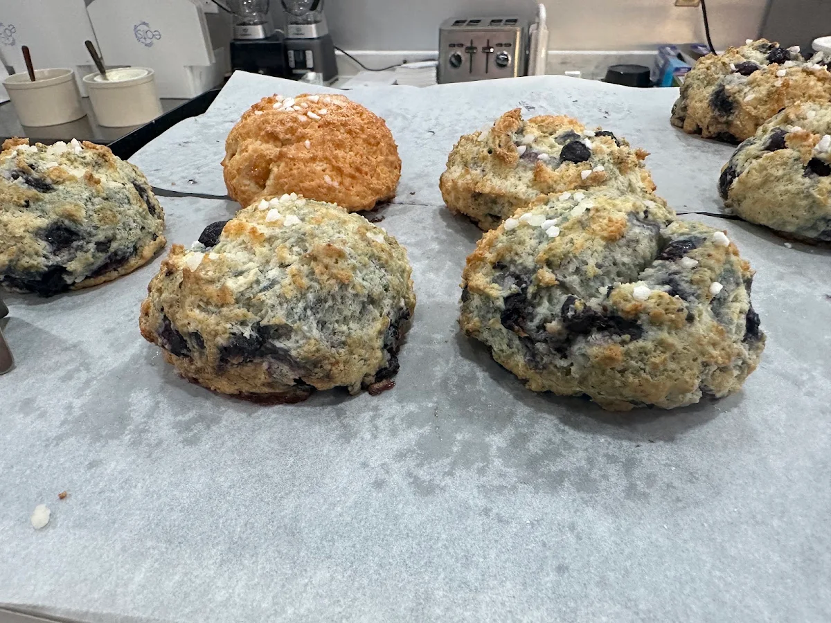 Blueberry Muffin