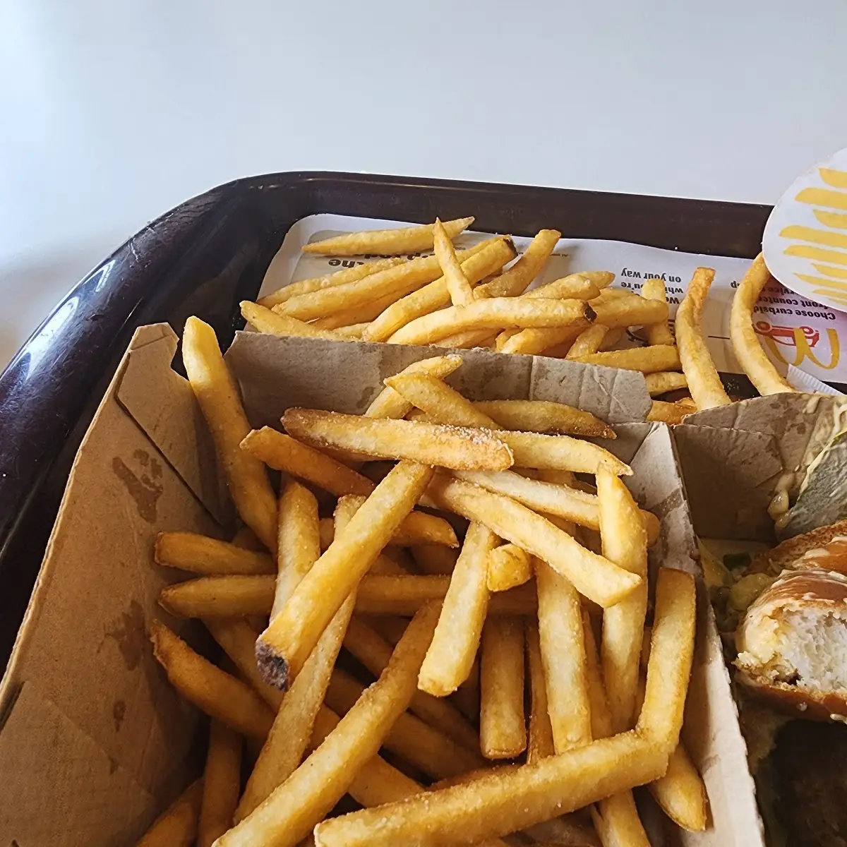 World Famous Fries