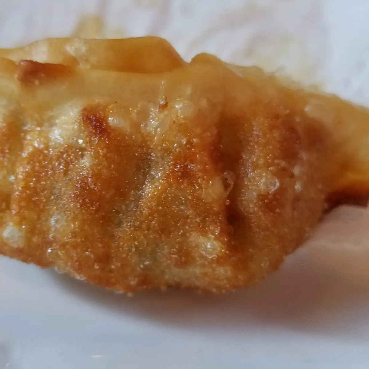 Fried Gyoza