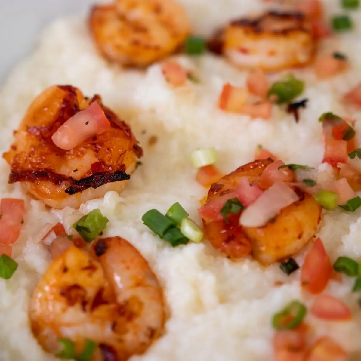 Seared Scallops over Risotto GF
