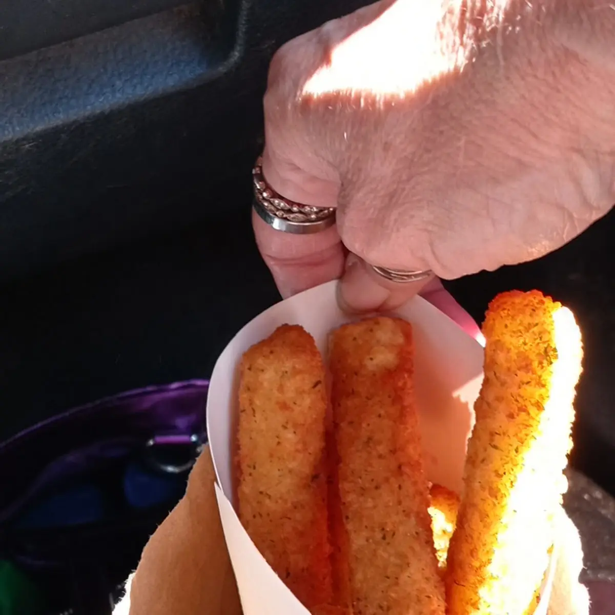 Mozzarella Cheese Sticks