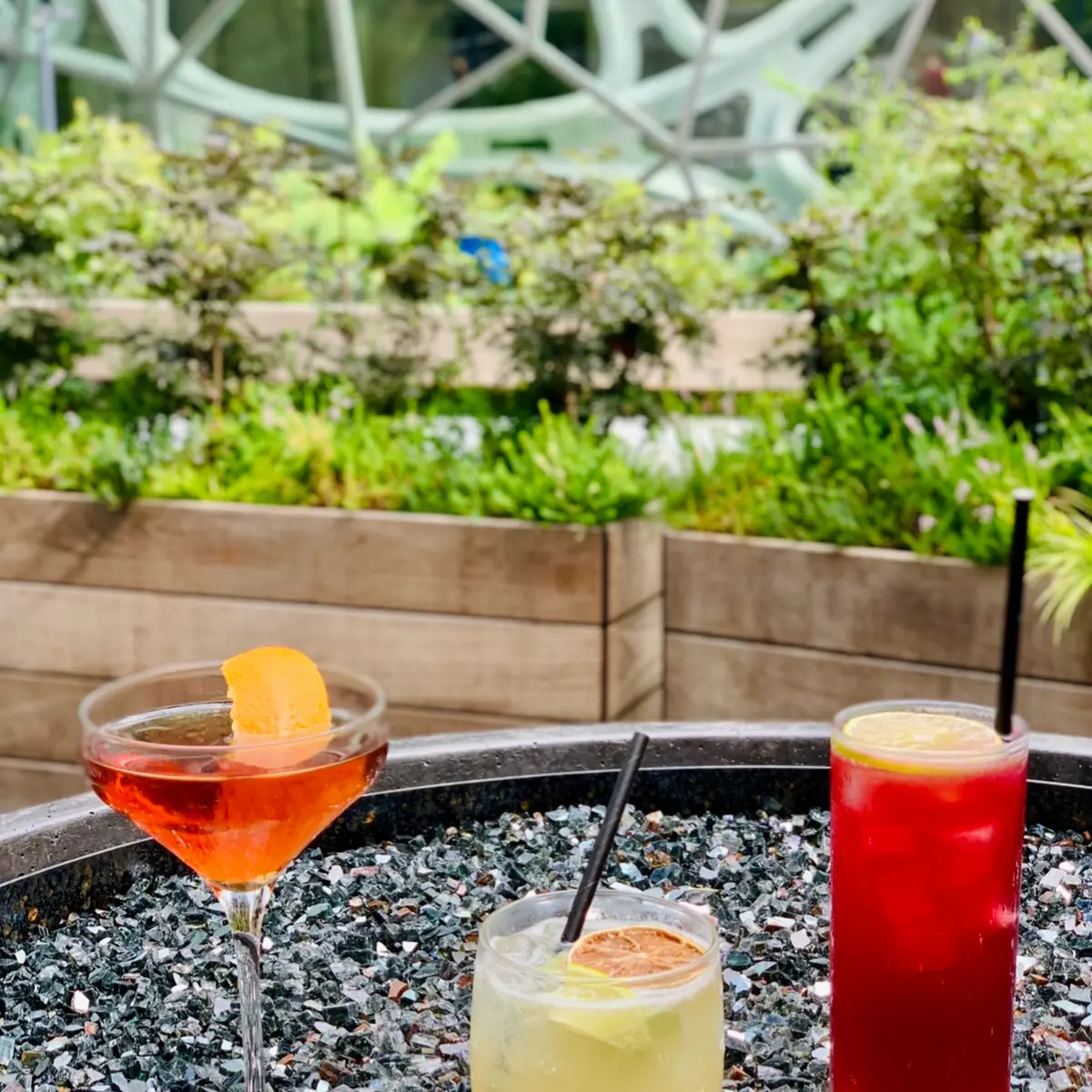 All Specialty Cocktails