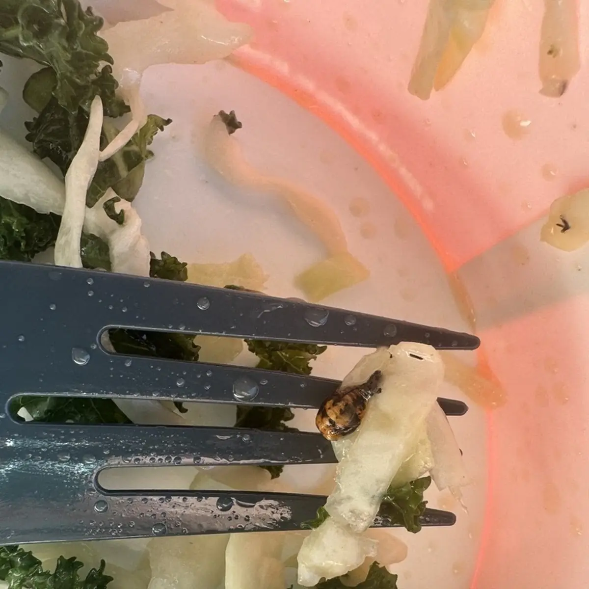 Kale Salad