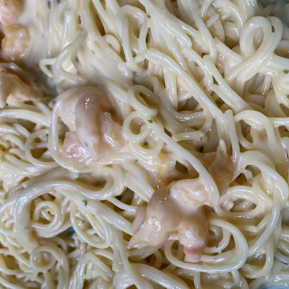 Shrimp Alfredo