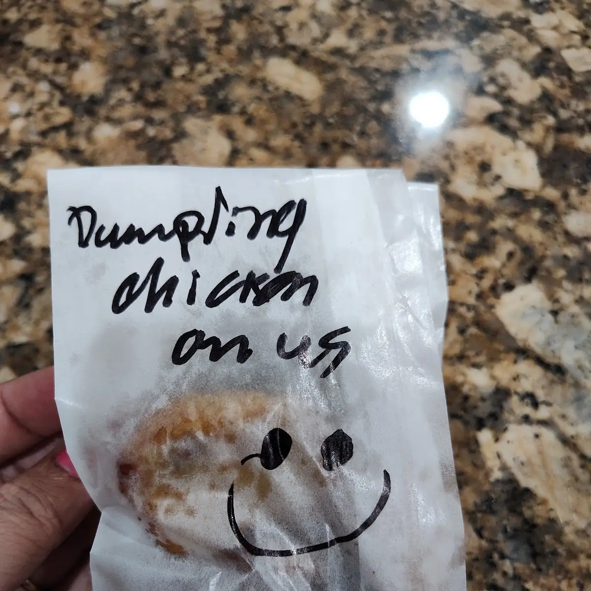 Chicken Dumplings