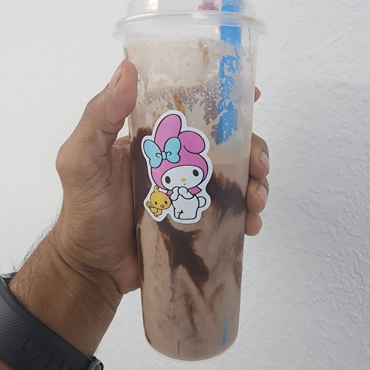 Zero Sugar Chocolate Peanut Butter 50gm Protein Shake
